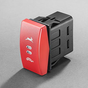 Marquardt-Wippschalter